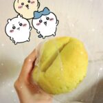 はじめまして！かなのです！