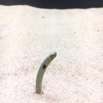 一緒に行こ？？